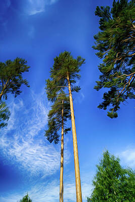 Abstract Yoga Mats - Pine Against The Sky by Tatiana Tyumeneva