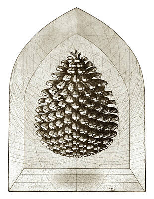 Best Sellers - Surrealism Drawings - Pine Cone by Charles Harden