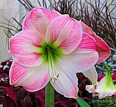 Granger - Pink and White Amaryllis Flower Expressionist Effect by Rose Santuci-Sofranko