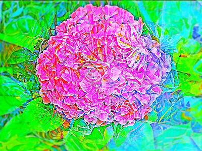 Roses Digital Art - Pink Hydrangea by Mindy Newman