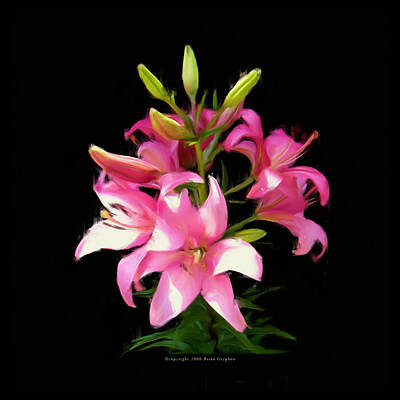 Lilies Digital Art - Pink Lilies 22103g by Brian Gryphon