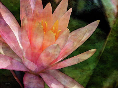 Summer Trends 18 - Pink Lotus 4575 IDP_2 by Steven Ward