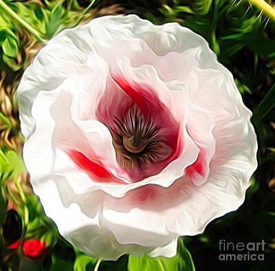 Abstract Flowers Photos - Pink Poppy Flower Abstract by Rose Santuci-Sofranko