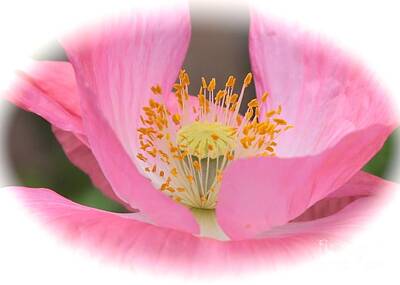 Temples - Pink Poppy Serenity by Carol Groenen