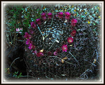 On Pointe Rights Managed Images - Pink Ring of Flowers Royalty-Free Image by Teresa Stallings