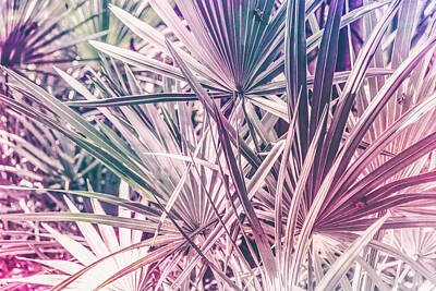 Whats Your Sign Royalty Free Images - Pink tropical leaves Royalty-Free Image by Andrea Anderegg