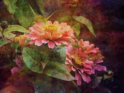 Recently Sold - Impressionism Photos - Pink Zinnia 1132 IDP_2 by Steven Ward