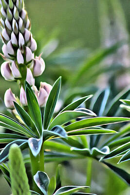 Whimsically Poetic Photographs - Pinkish Lupine by Modern Art