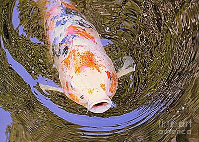 Modern Sophistication Modern Abstract Paintings - Playing Koi by Diann Fisher