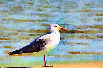 Maps Maps And More Maps - Popham Gull by Modern Art