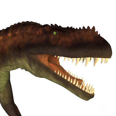 Reptiles Royalty Free Images - Prestosuchus Dinosaur Head Royalty-Free Image by Corey Ford