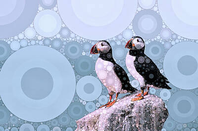 Birds Mixed Media - Puffins by the Sea by Susan Maxwell Schmidt