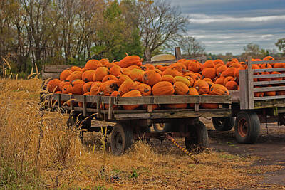 Ira Marcus Royalty-Free and Rights-Managed Images - Pumpkin Wagons by Ira Marcus