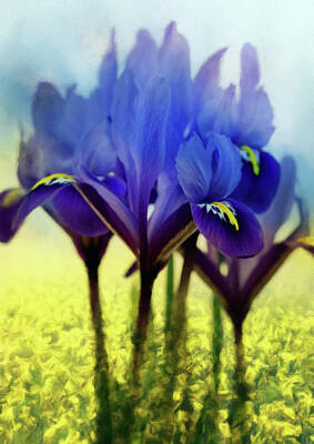 Impressionism Mixed Media - Purple Blue Iris In A Field Of Yellow by Georgiana Romanovna