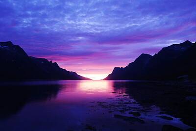 I Scream You Scream We All Scream For Ice Cream - Purple Nordic Fjordland Sunset by David Broome