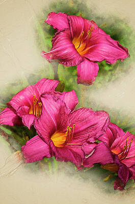 Lilies Digital Art - Purple Stella Doro Day Lily Flowers mp digital by Bob Corson
