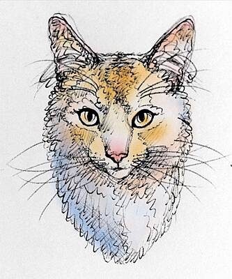 Portraits Drawings - Purrfect Elegance   by Pookie Pet Portraits