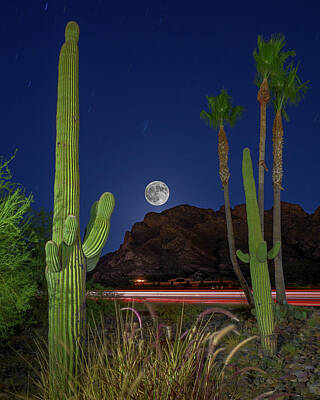 Mark Myhaver Photo Rights Managed Images - Pusch Ridge Full Moon v30 Royalty-Free Image by Mark Myhaver