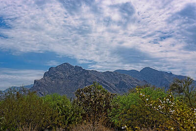 Mark Myhaver Rights Managed Images - Pusch Ridge Morning h26 Royalty-Free Image by Mark Myhaver