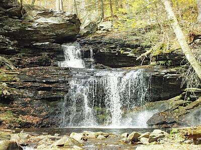Music Rights Managed Images - R. B. Ricketts - Ricketts Glen Royalty-Free Image by Cindy Treger