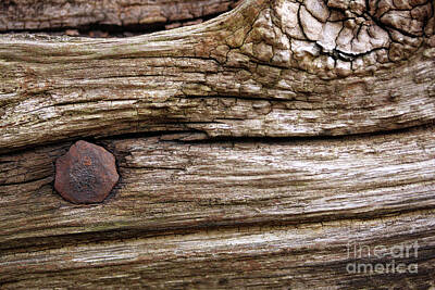 Kitchen Mark Rogan Rights Managed Images - Railroad Tie Royalty-Free Image by Douglas Milligan