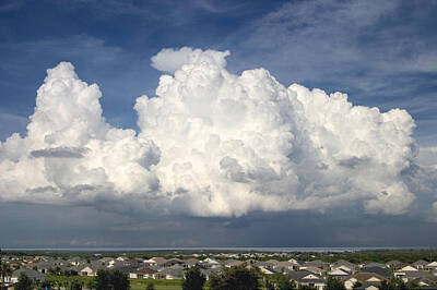 Royalty-Free and Rights-Managed Images - Rain Clouds Over Lake Apopka by Carl Purcell