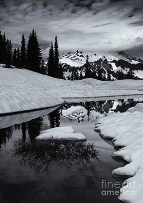 Landscape Photos Chad Dutson Royalty Free Images - Rainier Winter Reflections Royalty-Free Image by Michael Dawson