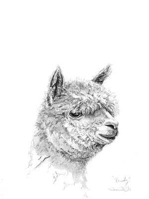 Mammals Drawings - Randy by Kristin Llamas