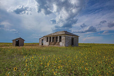 Recently Sold - Sunflowers Photos - Rattlesnake Butte School, Eastern Plains of Colorado by Bridget Calip