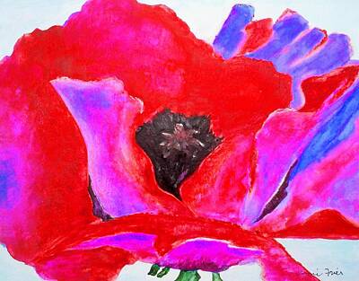 Western Buffalo Royalty Free Images - Red and Purple Poppy Royalty-Free Image by Jamie Frier