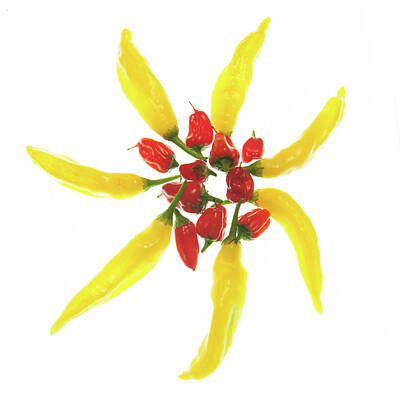 I Scream You Scream We All Scream For Ice Cream - Red and Yellow Chillie Star by Helen Jackson