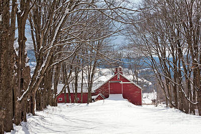 Pretty In Pink - Red Barn Winter Scenic by Alan L Graham
