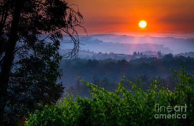 Wine Photos - Red Dawn by Inge Johnsson