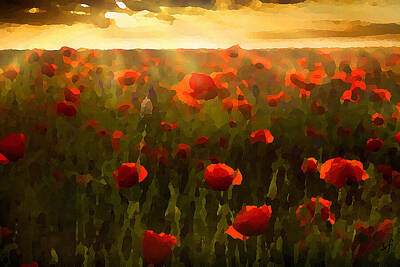 Recently Sold - Impressionism Mixed Media - Red Poppies in the Sun by Shelli Fitzpatrick
