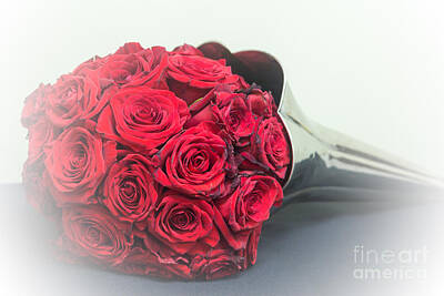 Modern Feathers Art - Red Roses  by Tracy Brock