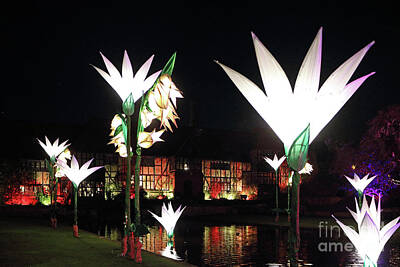 Modern Sophistication Beaches And Waves - Reflected Glowing Flowers Wisley by Julia Gavin