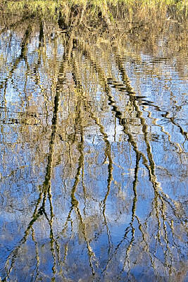 Poolside Paradise Rights Managed Images - Reflection1 Nov Royalty-Free Image by Leif Sohlman