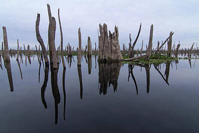 Abstract Works - Reflections of a Drowned Forest by Paul Rebmann