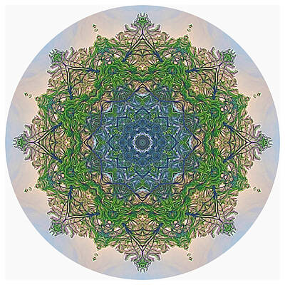 Studio Grafika Patterns Rights Managed Images - Reflections of Life Mandala Royalty-Free Image by Beth Venner