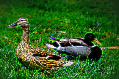 Airplane Paintings Royalty Free Images - Resting Ducks Royalty-Free Image by Mariola Bitner