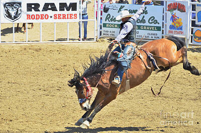 Athletes Royalty-Free and Rights-Managed Images - Ride em Cowboy by Debby Pueschel