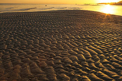 Vintage Signs - Ripples In the Sand Low Tide Golden Sunset by James BO Insogna