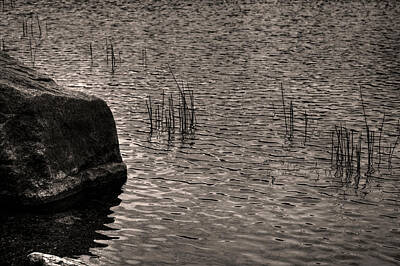 Modern Sophistication Minimalist Abstract - Ripples Reeds and a Rock by Roger Passman