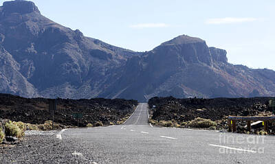 Juan Bosco Forest Animals - Road To El Teide Vulcano by Compuinfoto 