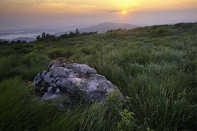 Moody Trees - Roan Mountain Highlands Sunrise - Appalachian Trail Scenic Landscape by Rob Travis