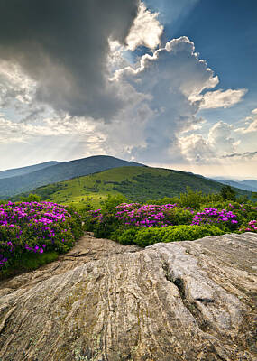 Best Sellers - Landscapes Royalty-Free and Rights-Managed Images - Roan Mountain Rays- Blue Ridge Mountains Landscape WNC by Dave Allen