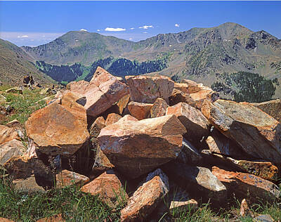 Animal Tees - 214258-Rocks and Wheeler Peak  by Ed  Cooper Photography