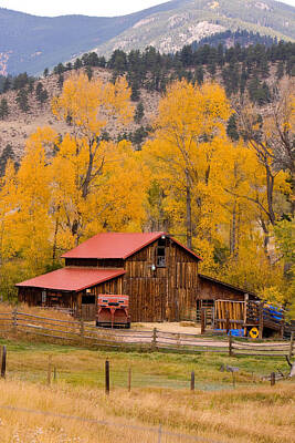James Bo Insogna Royalty-Free and Rights-Managed Images - Rocky Mountain Barn Autumn View by James BO Insogna