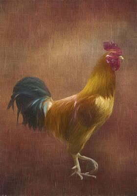 Door Locks And Handles Rights Managed Images - Rooster Royalty-Free Image by Emily Smith