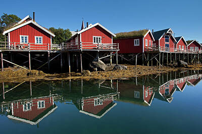 Soap Suds - Rorbus and Reflections in Reine by Aivar Mikko